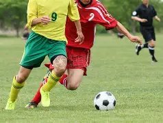 年度最佳阵,容揭晓,半数球星缺,世界杯竞猜,2026世界杯,比赛预测,赌注策略,赛事分析