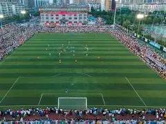 乒乓球巨星,马龙,樊振东,世界杯竞猜,2026世界杯,比赛预测,赌注策略,赛事分析